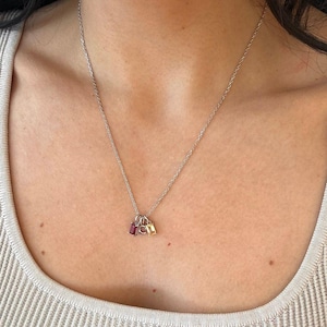 Sterling Silver Initial Birthstone Charm Necklace: Personalized Family Necklace