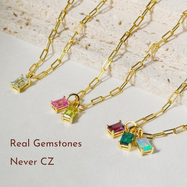 Personalized Family Birthstone Necklace: 14k Gold-Plated Charm on Paperclip Chain