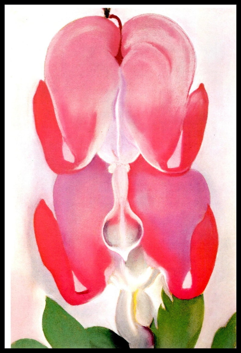1932 O'Keeffe Print Bleeding Heart Original Etsy