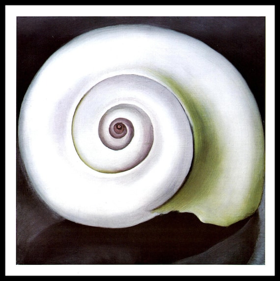 1928 O'Keeffe Print Shell I Oil On Canvas Etsy