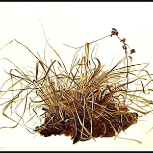 Andrew Wyeth Print, &quot;Grasses&quot;, Original Vintage Bookplate Print, Circa 1941, Collectible Americana Art, Ready To Frame