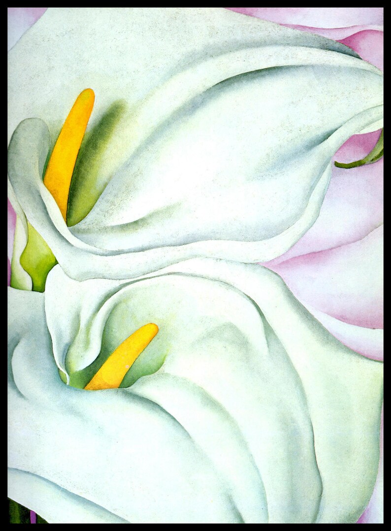 1928 O'Keeffe Print Two Calla Lilies On Pink Oil Etsy