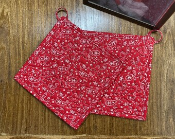 Quilt potholder set,  Bright Bandana fabric potholder set , Handmade quilt hot pad, candle mat, quilted trivets