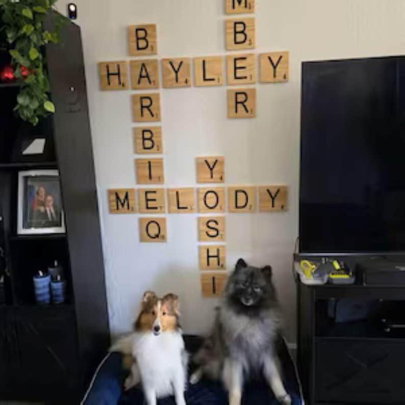 May include: A wall display of large wooden square tiles resembling Scrabble pieces, arranged in a crossword pattern spelling out the names Hayley, Amber, Barbiq, Melody, and Yoshi, positioned above two dogs sitting on a blue pet bed.