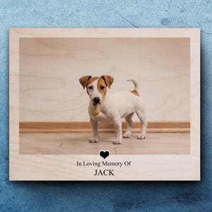 Pet Sympathy, Pet Memorial Gifts, Dog Loss Frame, Pet Remembrance, Pet Loss, Pet Sympathy Gift, In Memory Of Dog, Gift For Dog Lover, Dog image 1