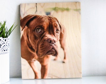 Pet Portrait Print, Pet Dad Gift, Dog Lover Gift, Custom Pet Prints, Print On Wood, Dog Photo Frame Pet Photo Pet Picture Frame Pet Memorial