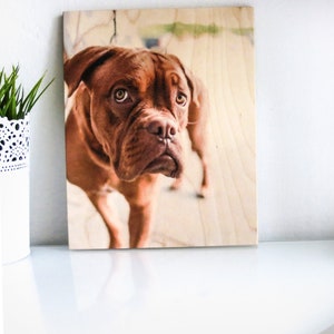 Pet Portrait Print, Pet Dad Gift, Dog Lover Gift, Custom Pet Prints, Print On Wood, Dog Photo Frame Pet Photo Pet Picture Frame Pet Memorial