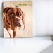 Pet Portrait Print, Pet Dad Gift, Dog Lover Gift, Custom Pet Prints, Print On Wood, Dog Photo Frame Pet Photo Pet Picture Frame Pet Memorial