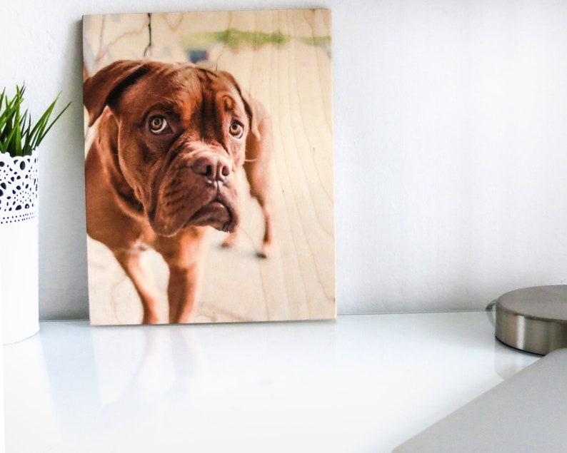 Pet Portrait Print, Pet Dad Gift, Dog Lover Gift, Custom Pet Prints, Print On Wood, Dog Photo Frame Pet Photo Pet Picture Frame Pet Memorial 