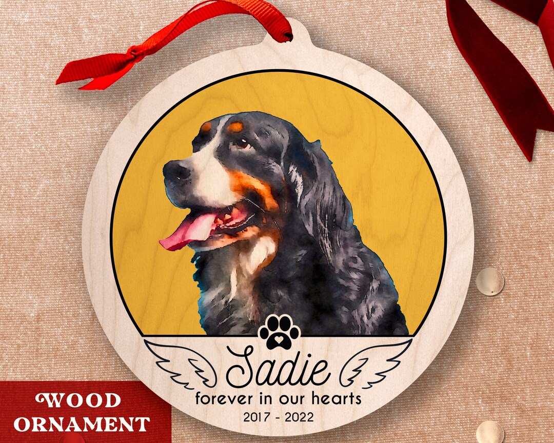 Personalized Pet Portrait Ornament - Pet Memorial Ornament With Photo ...