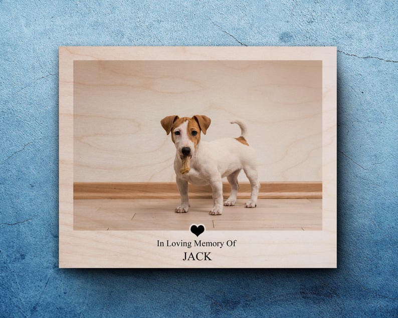 Pet Sympathy, Pet Memorial Gifts, Dog Loss Frame, Pet Remembrance, Pet Loss, Pet Sympathy Gift, In Memory Of Dog, Gift For Dog Lover, Dog image 1