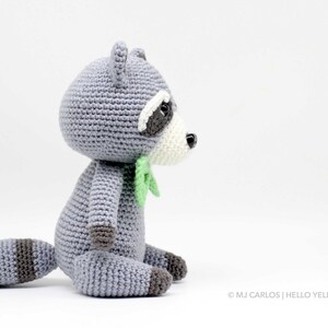 Crochet Amigurumi Raccoon, PATTERN ONLY, Rosita and Robbie, pdf Stuffed Animal Toy Pattern, English Only image 4