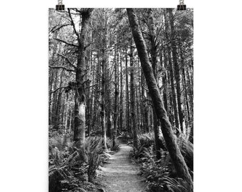 Black and white wall art, Pacific Northwest wall art, black and white forest photo, black and white room décor, PNW hiker, forest wall art