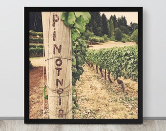 Framed Square Pinot Noir Grape Vines in Oregon Wine Country Poster, Vintage Style Wine Lover Wall Art