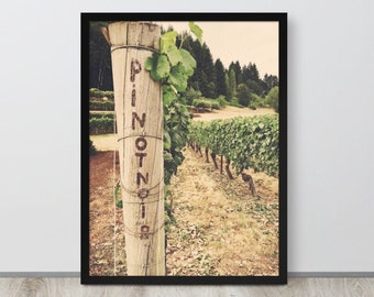 Framed Pinot Noir Grape Vines in Oregon Wine Country Poster, Vintage Style Wine Lover Wall Art