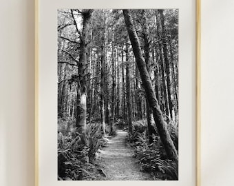 Black and White Forest Photo: Pacific Northwest Wall Art