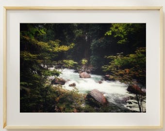 Lámina decorativa de un río del noroeste del Pacífico, fotografía de un paisaje boscoso melancólico.