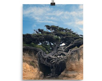 Tree of Life Nature Poster