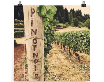 Square Pinot Noir Grape Vines in Oregon Wine Country Poster, Vintage Style Wine Lover Wall Art