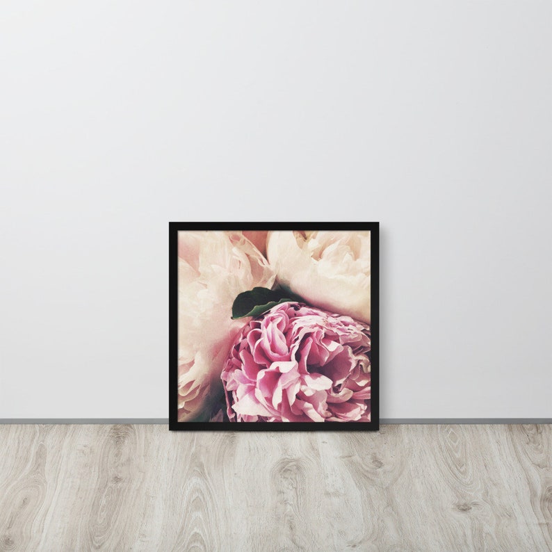 Soft Pastel Peonies framed square matte photograph of summer garden flowers