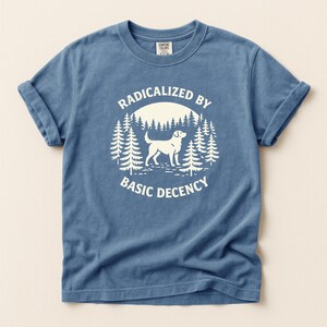 Radicalized by Basic Decency Unisex T-Shirt, Comfort Colors