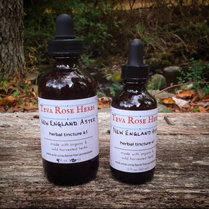 May include: Two amber glass bottles of herbal tincture. The labels read "Teva Rose Herbs New England Aster" and include the text "herbal tincture 4:1". The larger bottle is 4 fl oz (120ml), and the smaller is 2 fl oz (60 ml).