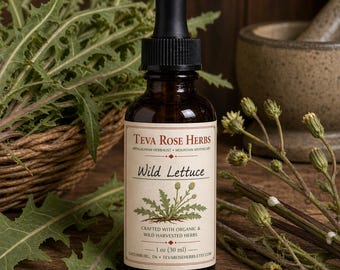 Wild Lettuce Tincture | Wildcrafted Appalachian Botanical Extract | 1 oz