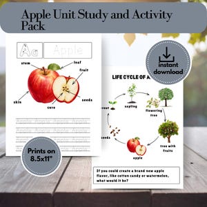 Apple Unit Study & Activity Pack | Fall Homeschool | Printable Activities |(Instant Download)