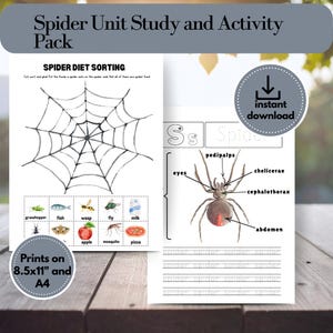 Spider Unit Study & Activity Pack | Spider lifecycle, Anatomy | Printable Activities | Instant Download in US Letter and A4