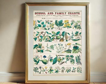 Botanische Karte Wall Art Print, Vintage botanische Schul- und Familientafeln druckbare Wanddekoration, digitaler Download
