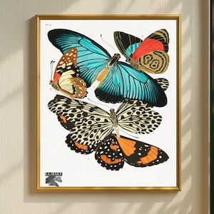 Seguy Butterfly Print, Vintage Insect Art, Art Deco Wall Decor, Colorful Nature Poster, Entomology Illustration, Printable Artwork