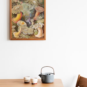 May include: A framed vintage illustration of colorful sea anemones in a wooden frame on a white wall. A wooden table with a gray teapot and two white cups with brown accents sits in the foreground.