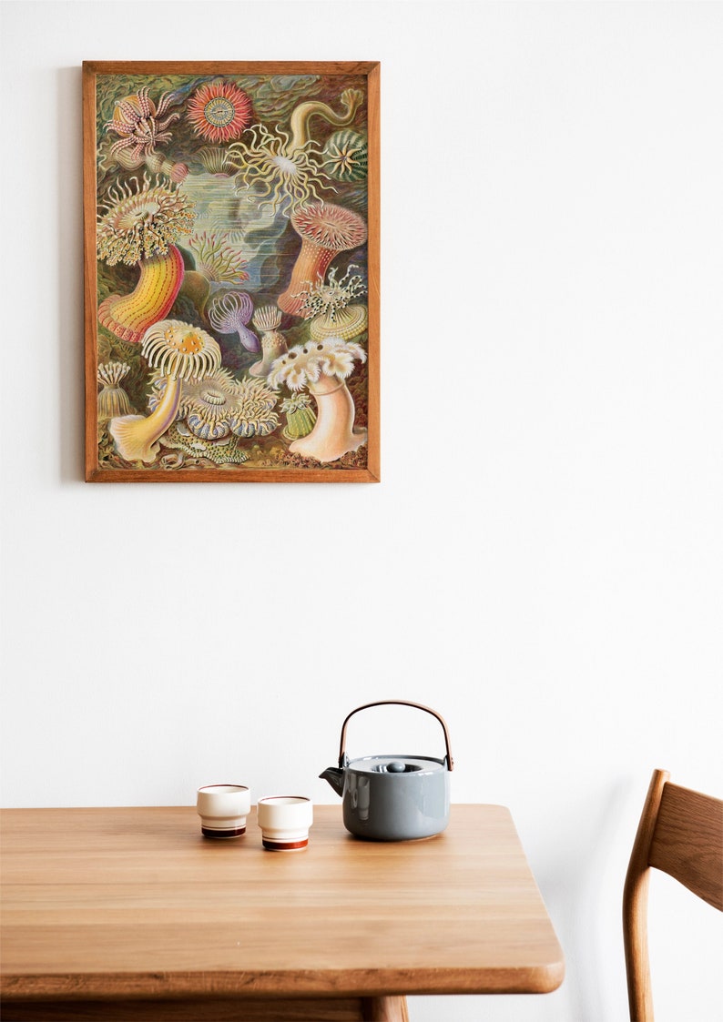 May include: A framed vintage illustration of colorful sea anemones in a wooden frame on a white wall. A wooden table with a gray teapot and two white cups with brown accents sits in the foreground.