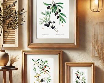 Olive Illustration Wand Kunst Druck 3er Set, Mediterrane Botanische Wanddekoration, digitaler Download