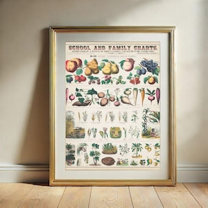 Arte de parede de gráfico botânico, gráficos escolares e familiares botânicos vintage para impressão, download digital