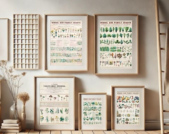Botanische Karte Wanddruck 5er Set, Vintage botanische Schul- und Familienkarten druckbar, digitaler Download
