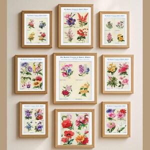 水彩画フラワーギャラリーウォールアートプリント、ボタニカルフローラルセット、印刷可能なウォールデコレーション、デジタルダウンロード、自然にインスパイアされたアートワーク、コテージコア