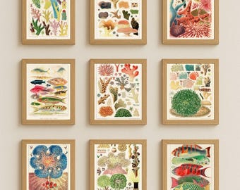 Great Barrier Reef Print Set of 17, Vintage Ocean Wall Print, Coral Reef Poster, Marine Life Decor, Australia Sea Map, Printable Art