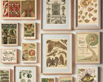 Anton Seder Animal Art Print Set of 30, Art Nouveau Wall Prints, Mythical Creature Decor, Vintage Nature Illustration Set
