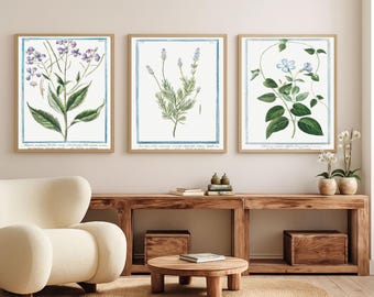 Wildflower Wall Art Set of 3, Vintage Botanical Prints, Cottagecore Floral Poster Set, Rustic Printable Nature Decor