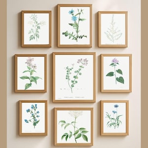 Wild Flower Wall Art Set of 11, Vintage Botanical Prints, Rustic Floral Decor, Country Cottage Wall Art, Digital Download, Nature Poster Set