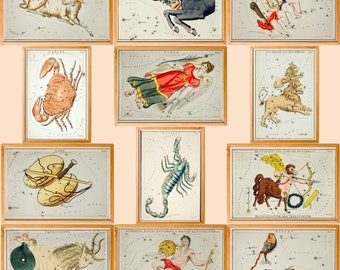 Vintage Astrological Sign Gallery Wall Set of 12, Vintage Zodiac Charts Print, Digital Download