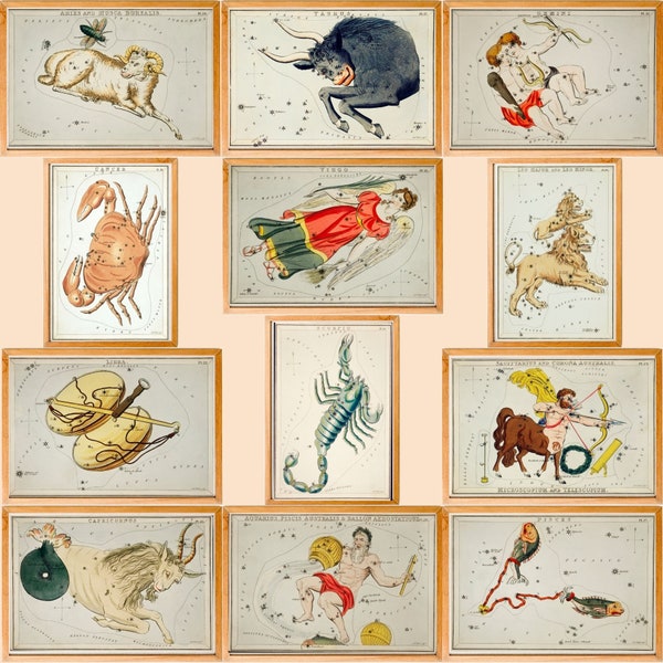 Vintage Astrological Sign Gallery Wall Set of 12, Vintage Zodiac Charts Print, Digital Download