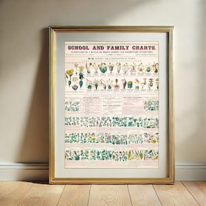 Arte de parede de gráfico botânico, gráficos escolares e familiares botânicos vintage para impressão, download digital
