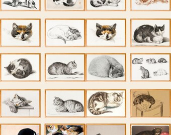 Vintage Katzen Illustrationen 52er Set, antike Katzen Drucke, Retro Haustier Wandkunst, wunderliche Katzen Dekoration, Tier Poster, Geschenk Katzenliebhaber