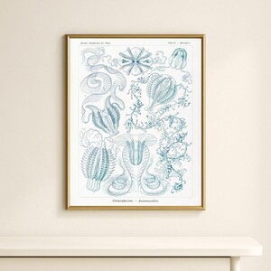 Marine Life Illustrations Set of 200, Vintage Ocean Prints, Sea Creature Art Set, Nautical Wall Decor, Antique Aquatic Posters image 9