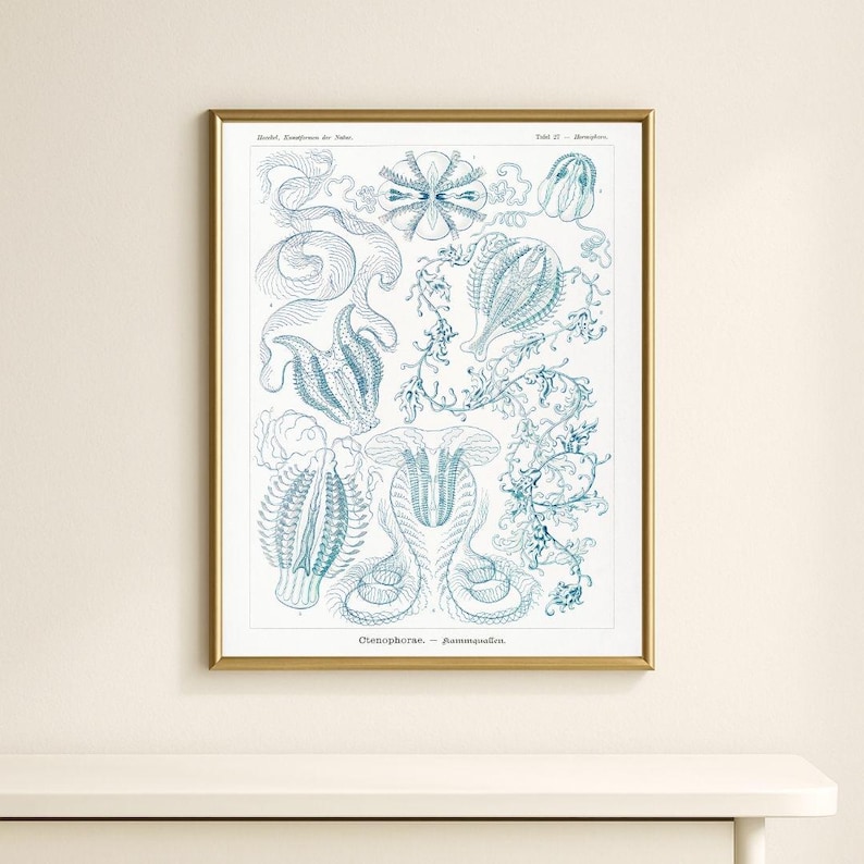 Marine Life Illustrations Set of 200, Vintage Ocean Prints, Sea Creature Art Set, Nautical Wall Decor, Antique Aquatic Posters image 9