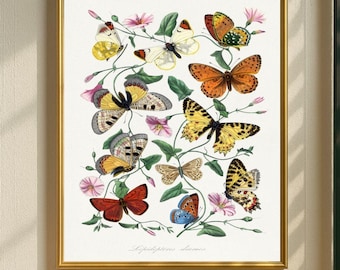 Vintage Butterfly Art, Botanical Insect Prints, Nature Wall Decor, Antique Illustration Set, Rustic Gallery Posters, Printable Art