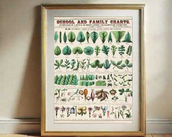 Botanische Karte Wall Art Print, Vintage botanische Schul- und Familientafeln druckbare Wanddekoration, digitaler Download