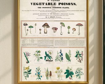 Botanische Karte Wall Art Print, Vintage botanische Schul- und Familientafeln druckbare Wanddekoration, digitaler Download